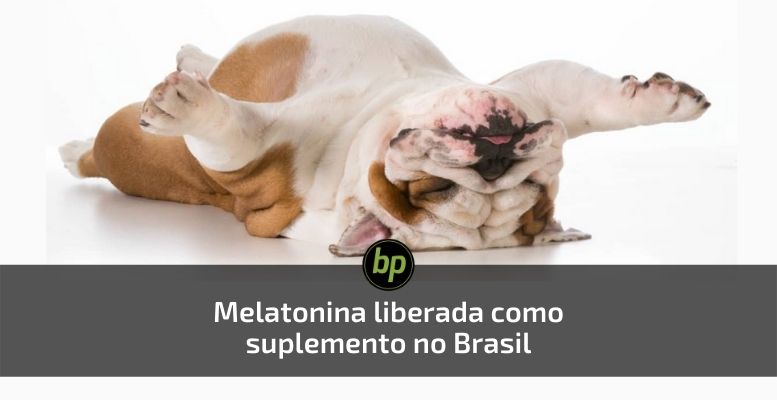 Melatonina Liberada Como Suplemento Alimentar Pela Anvisa Blog Bp