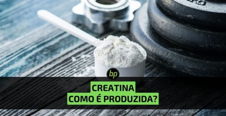 Entenda o processo de fabricação da creatina